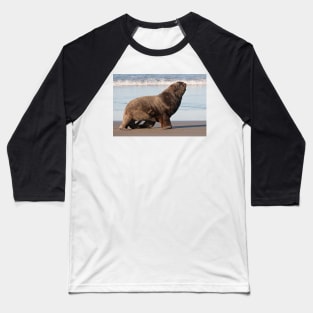 New Zealand Sea Lion 2 Baseball T-Shirt